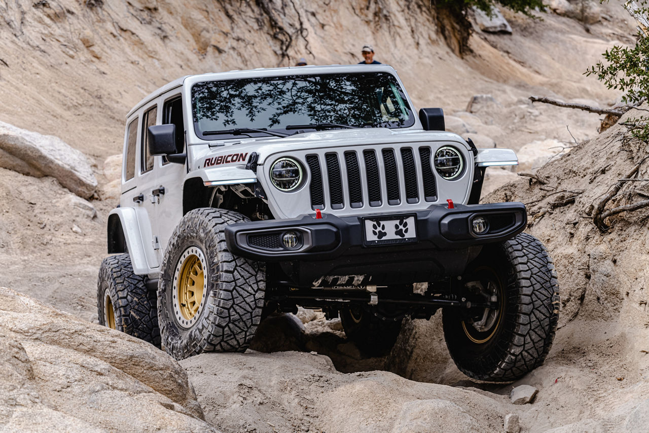 2019 Jeep Wrangler - Black Rhino PRIMM - Gold | Black Rhino